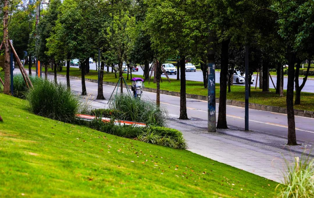 天府大道改造最新消息,为什么天府大道修到仁寿就变弯了