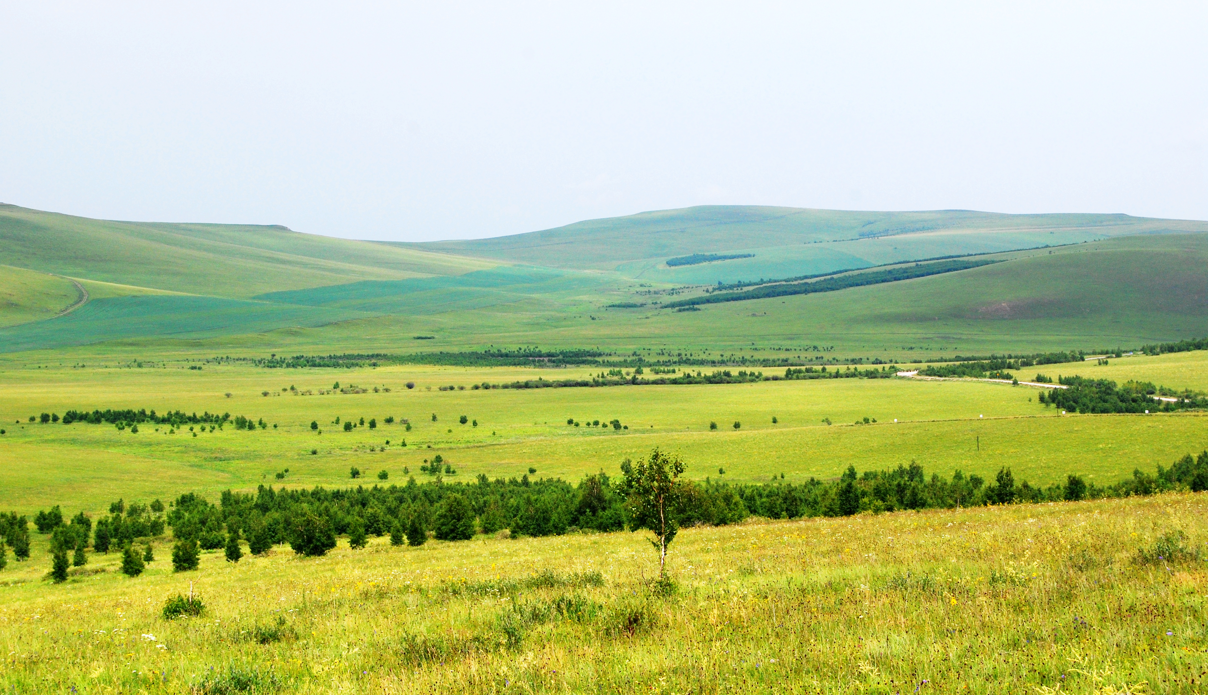 一辆车，从东乌旗沿中蒙边境公路到阿尔山，漫长边关寻迹历史遗存