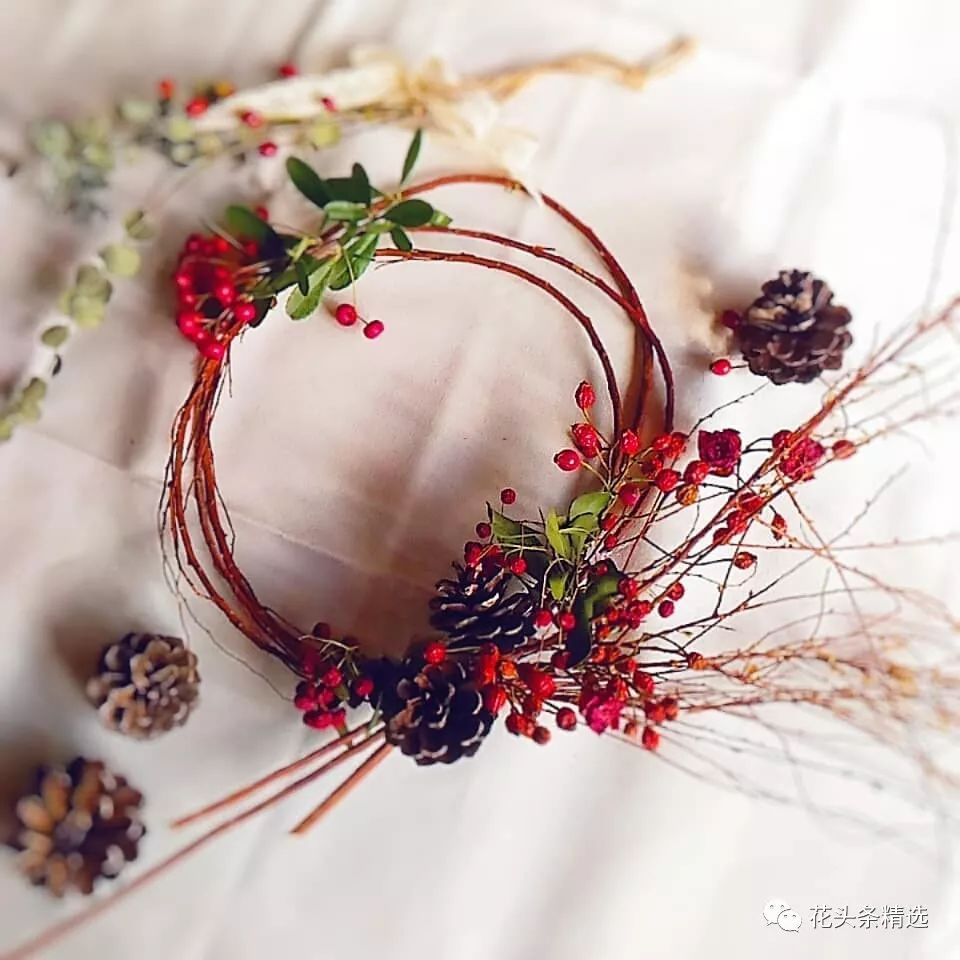 最优质的北美冬青,北美冬青性价比高的