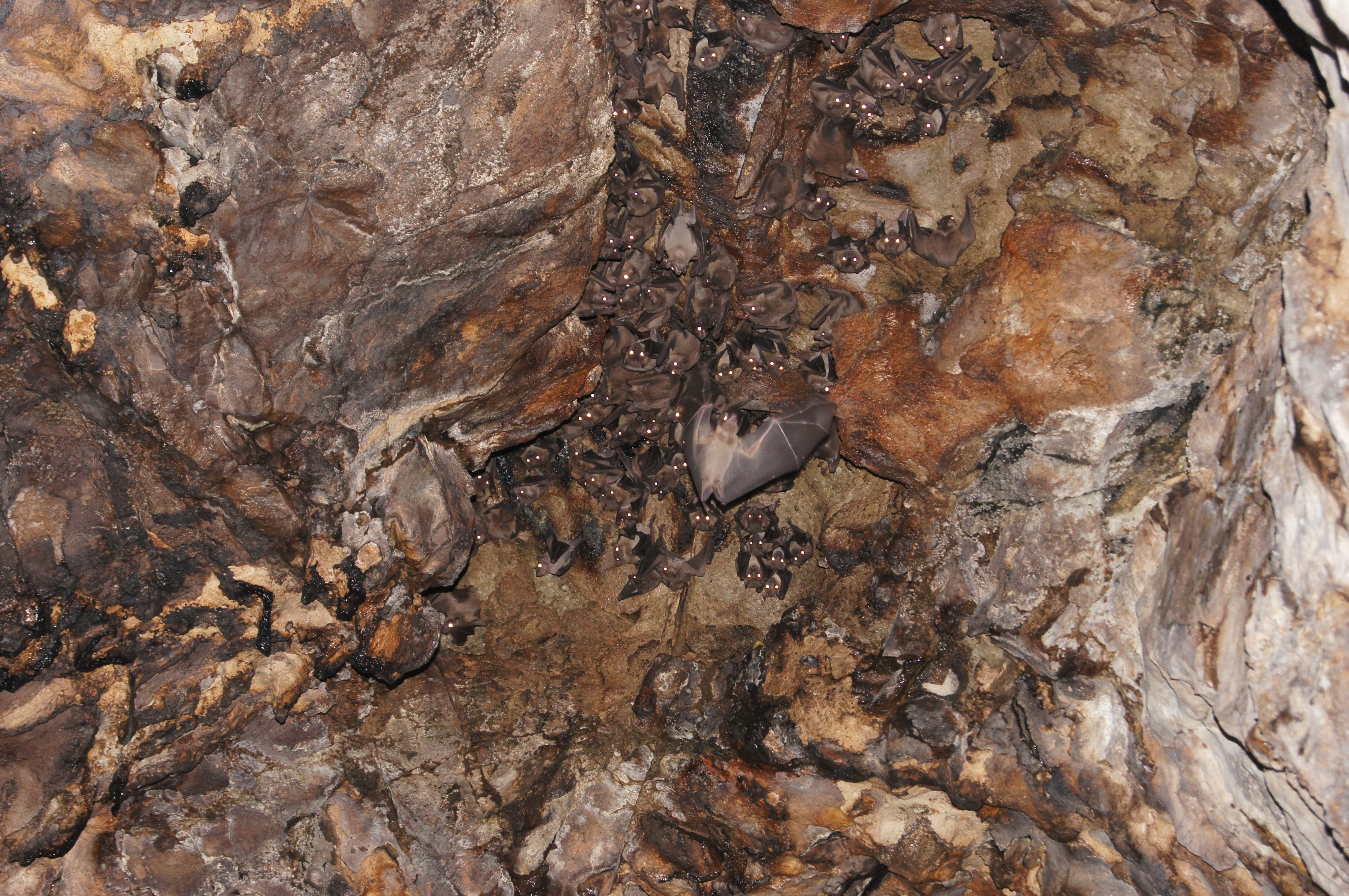 永泰百漈沟瀑布航拍,永泰百漈沟瀑布群