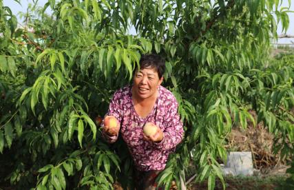 大树底下长草,大树下面长草吗