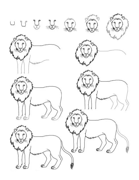 如何快速画动物简笔画,手把手教画动物简笔画