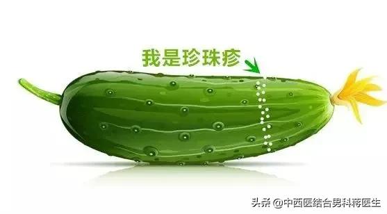 乌龟腮部有很多点点是什么龟,乌龟头上有黑块是什么龟