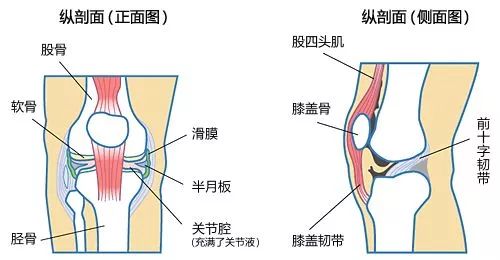 膝盖僵硬，关节疼痛，腿使不上劲儿？中医+西医6种方法帮你解决
