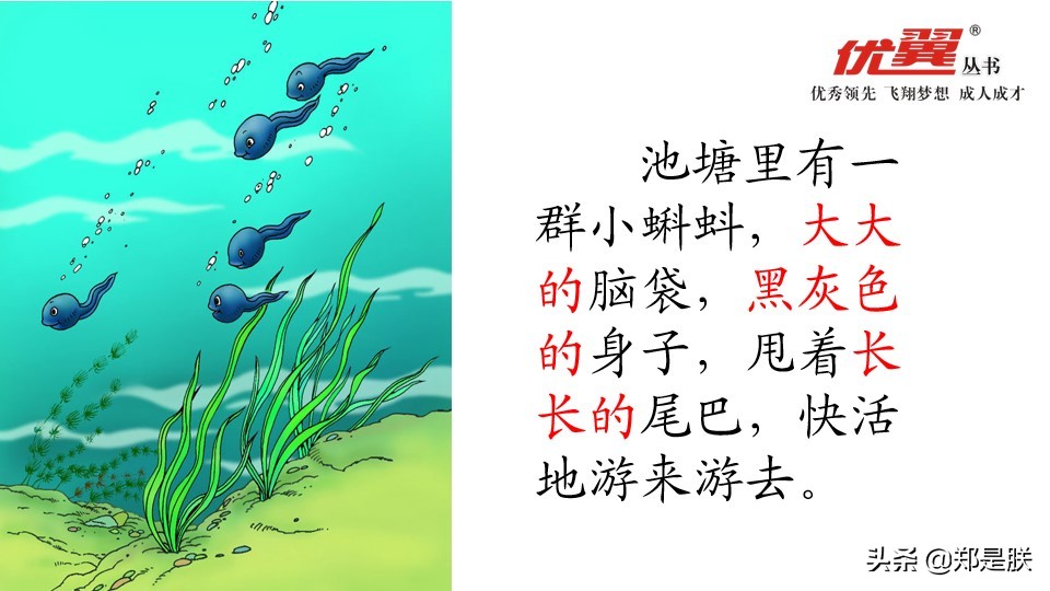 二年级小蝌蚪找妈妈诵读,二年级语文第1课小蝌蚪找妈妈
