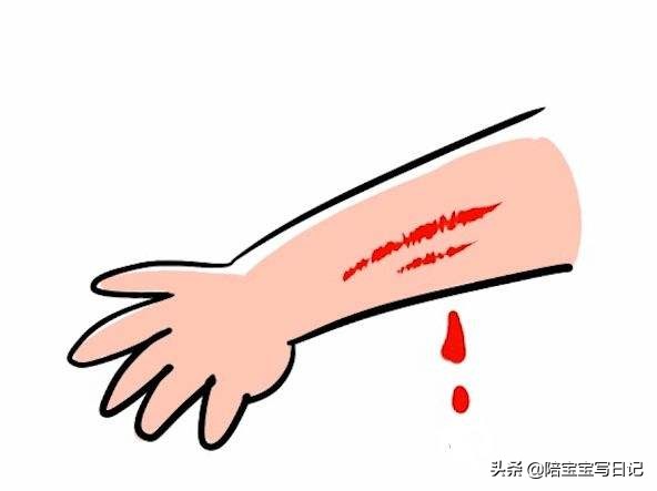 狗十三电影具体对策,狗十三观众影评