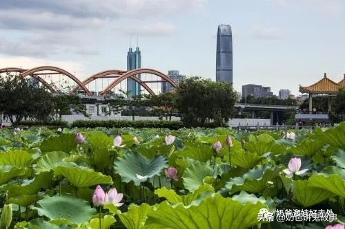面朝大海春暖花开旅游景点,面朝大海春暖花开游玩