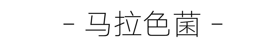 猫病特效药,猫病特效药一览表