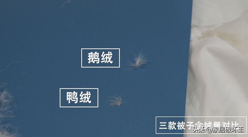 羽绒被行业骗局揭秘,羽绒被的十大骗局