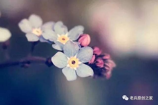 四川四大历史名山华蓥山,华蓥山名山