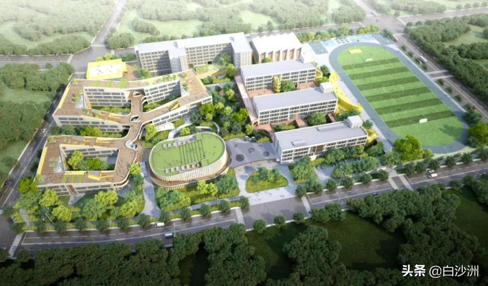 长虹高中白沙洲,白沙洲长虹中学规划