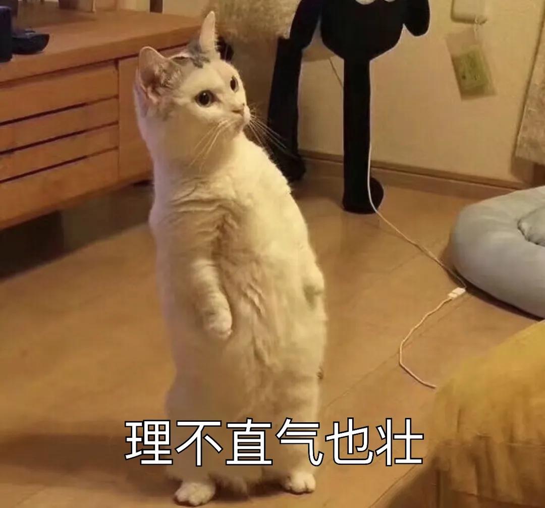仙人跳小伙会功夫,仙人跳男生搞笑视频
