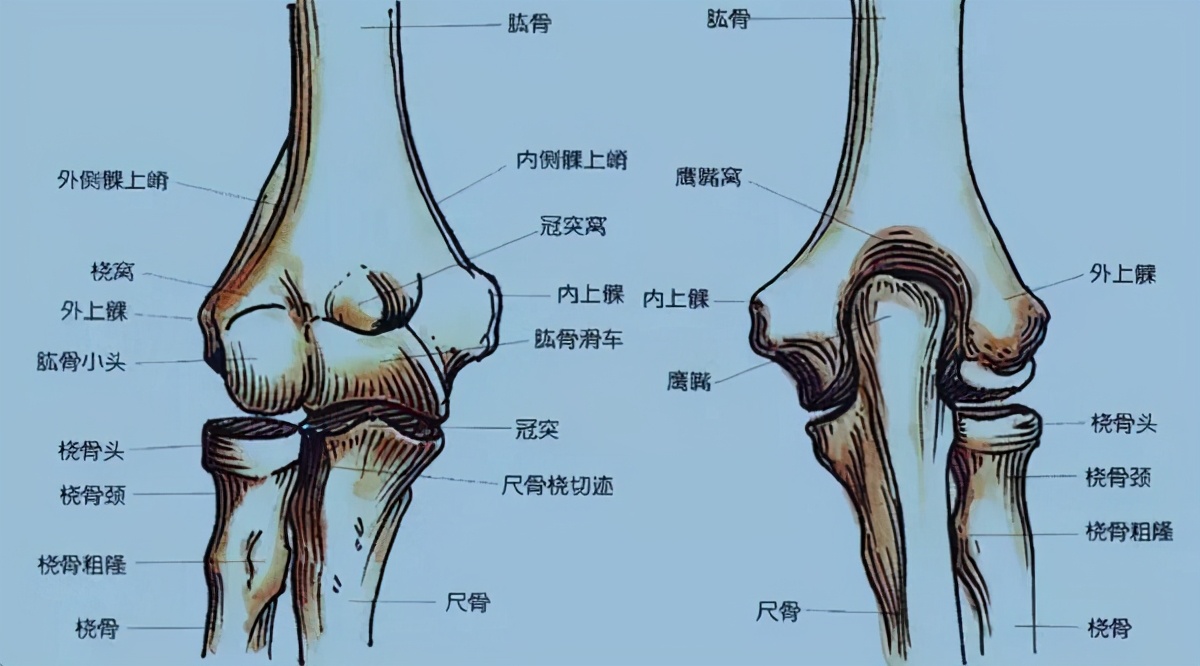 肘关节伸不直推拿正骨手法,李德明柔性正骨肘关节
