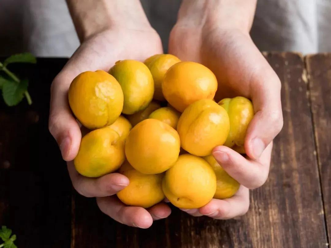 敦煌李广杏子熟了,敦煌李广杏甜度