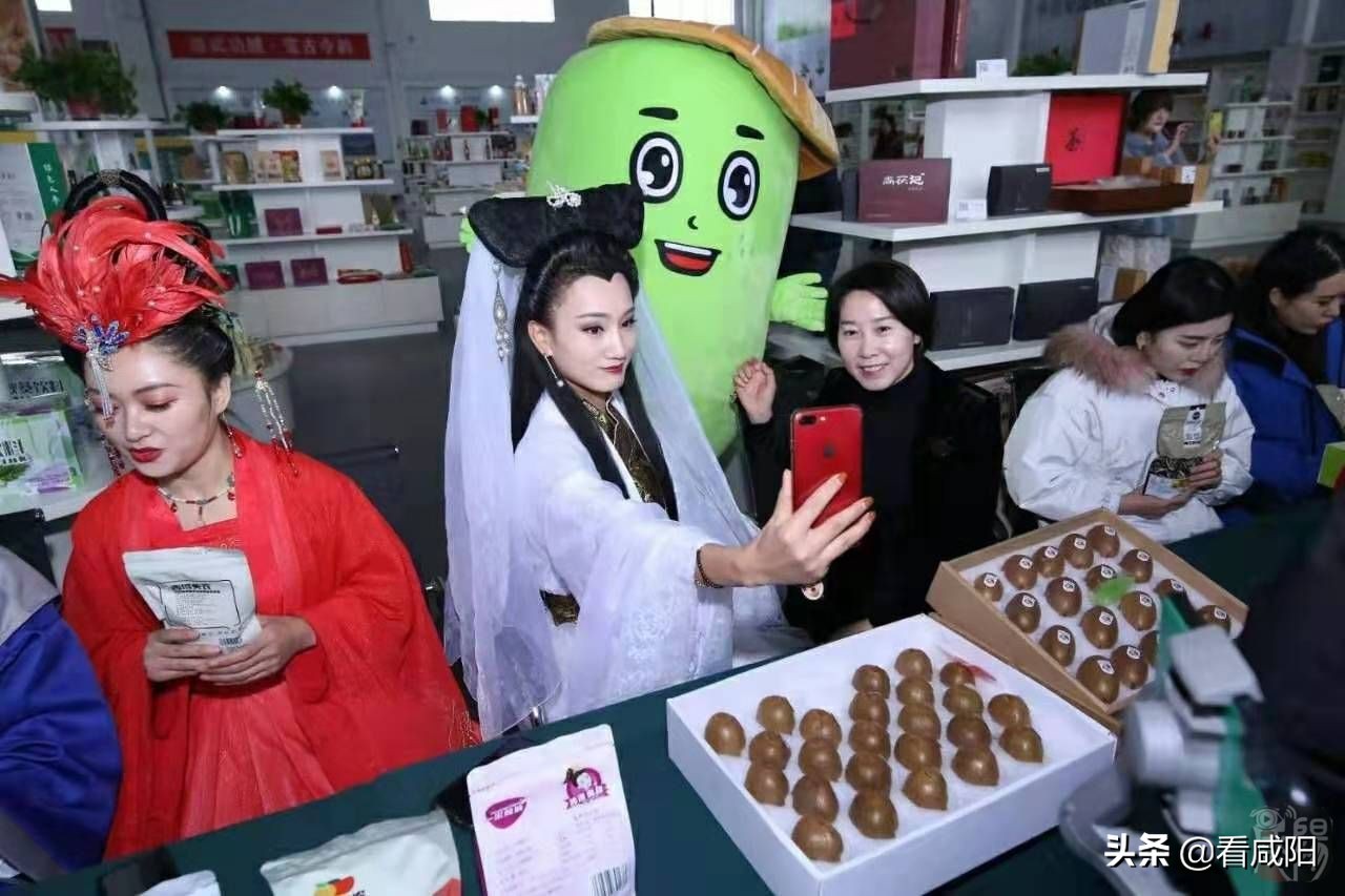 武功电商县长直播,咸阳武功县电商直播