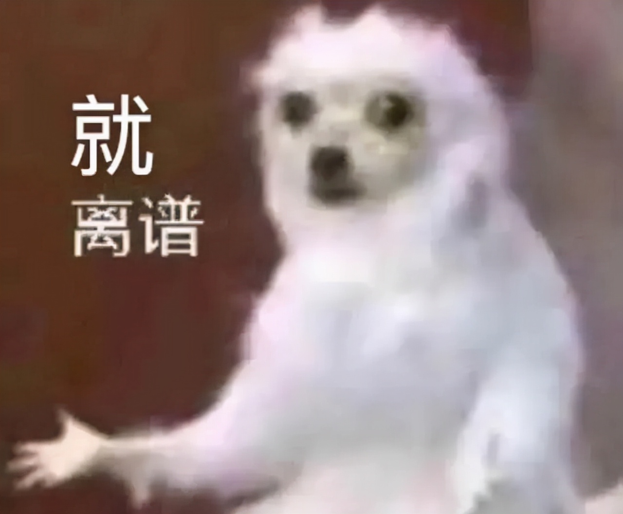 境外保单合法可靠吗,境外买的保单合法吗