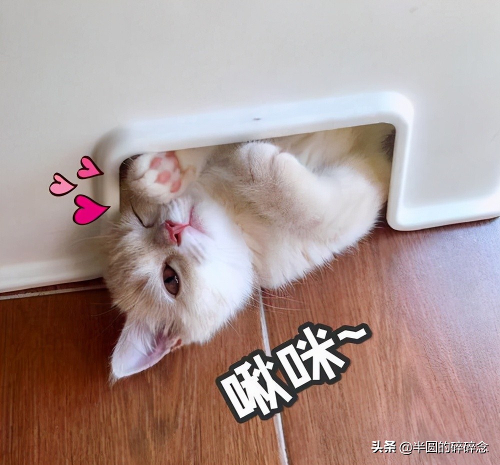 办公小技巧excel各种快捷键,办公小技巧excel怎么排序