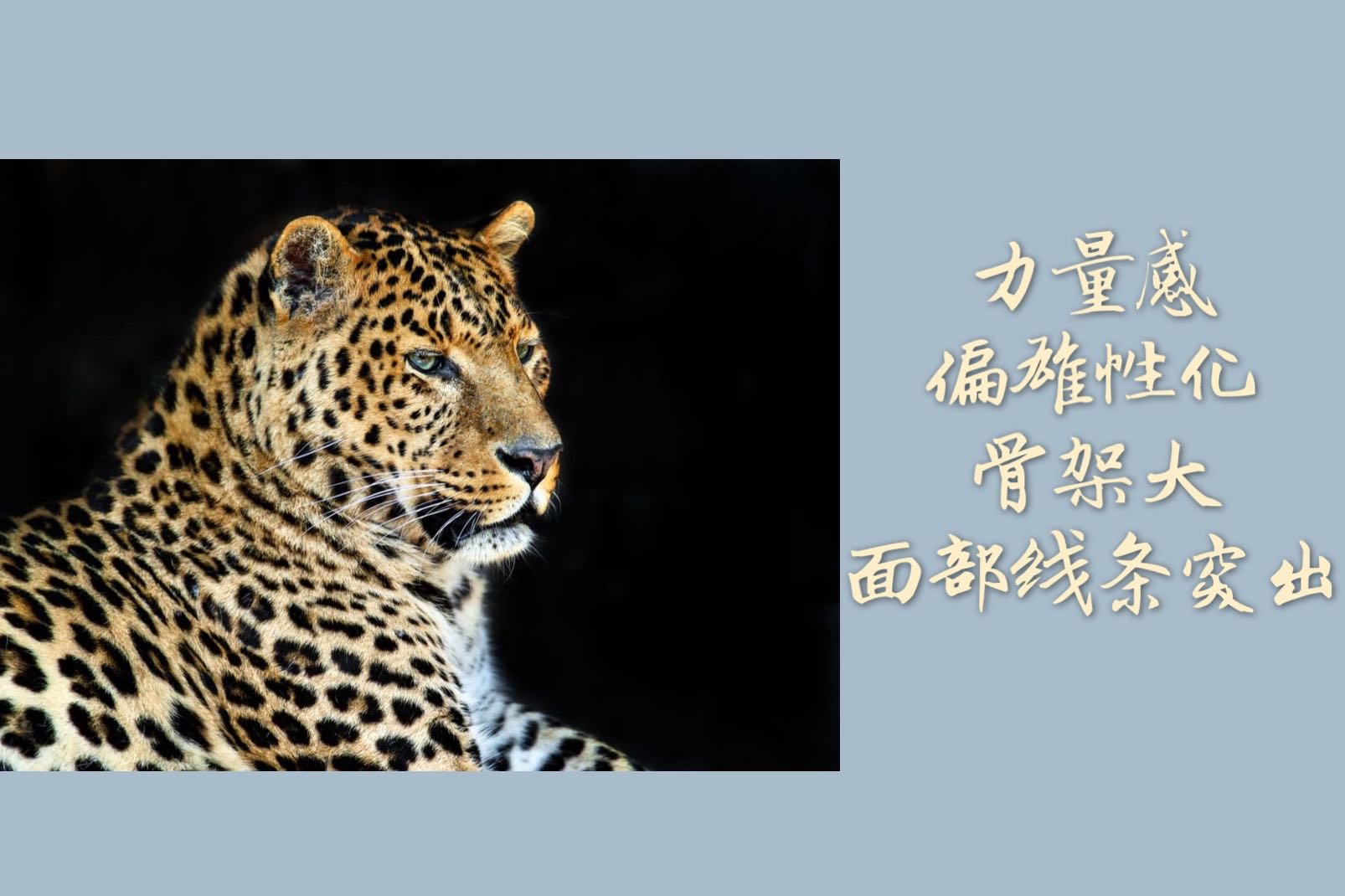 穿衣服不好看是改变肤色还是穿搭,穿衣服选对风格