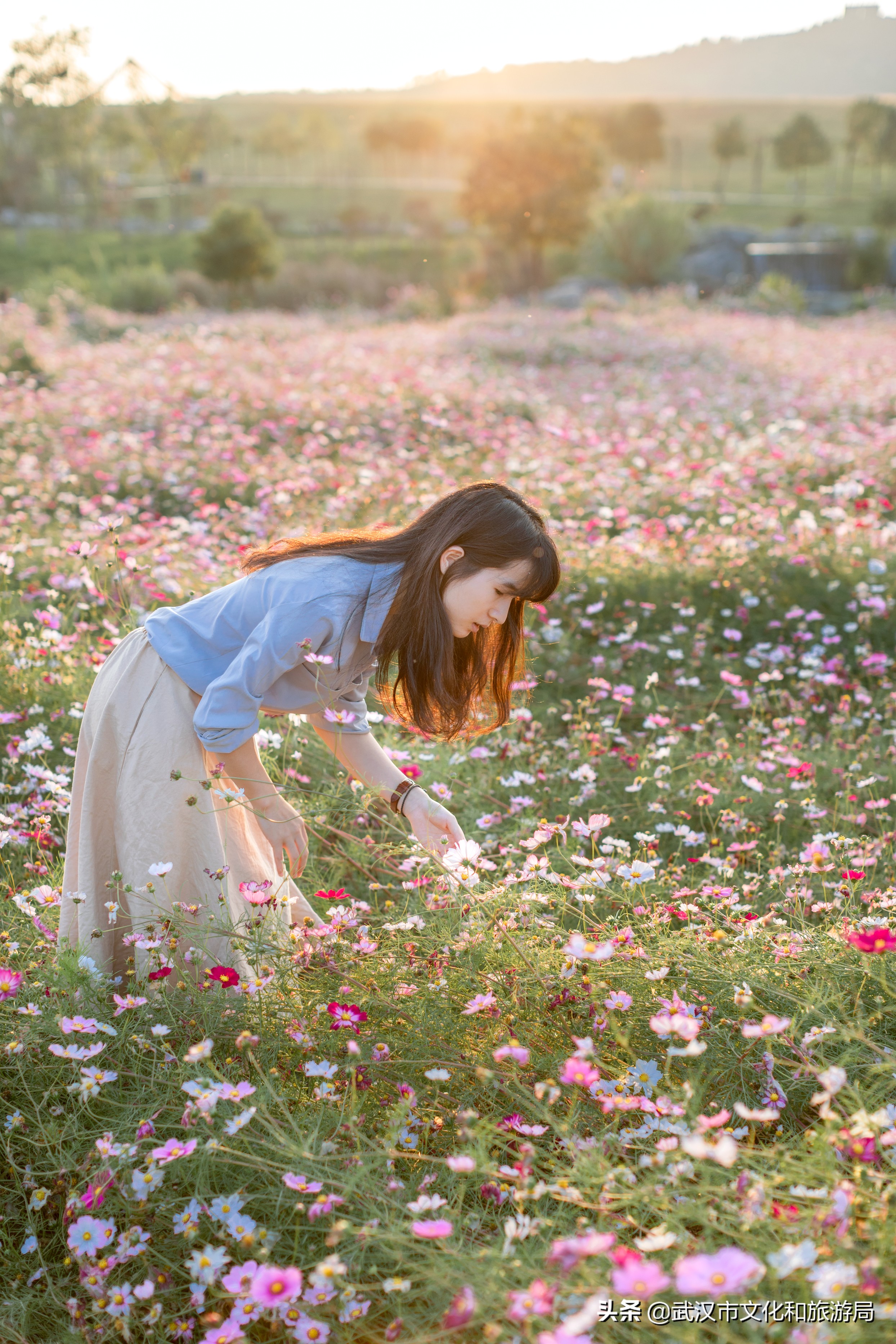 十大赏樱花胜地,赏樱必去武汉四大绝美樱花园
