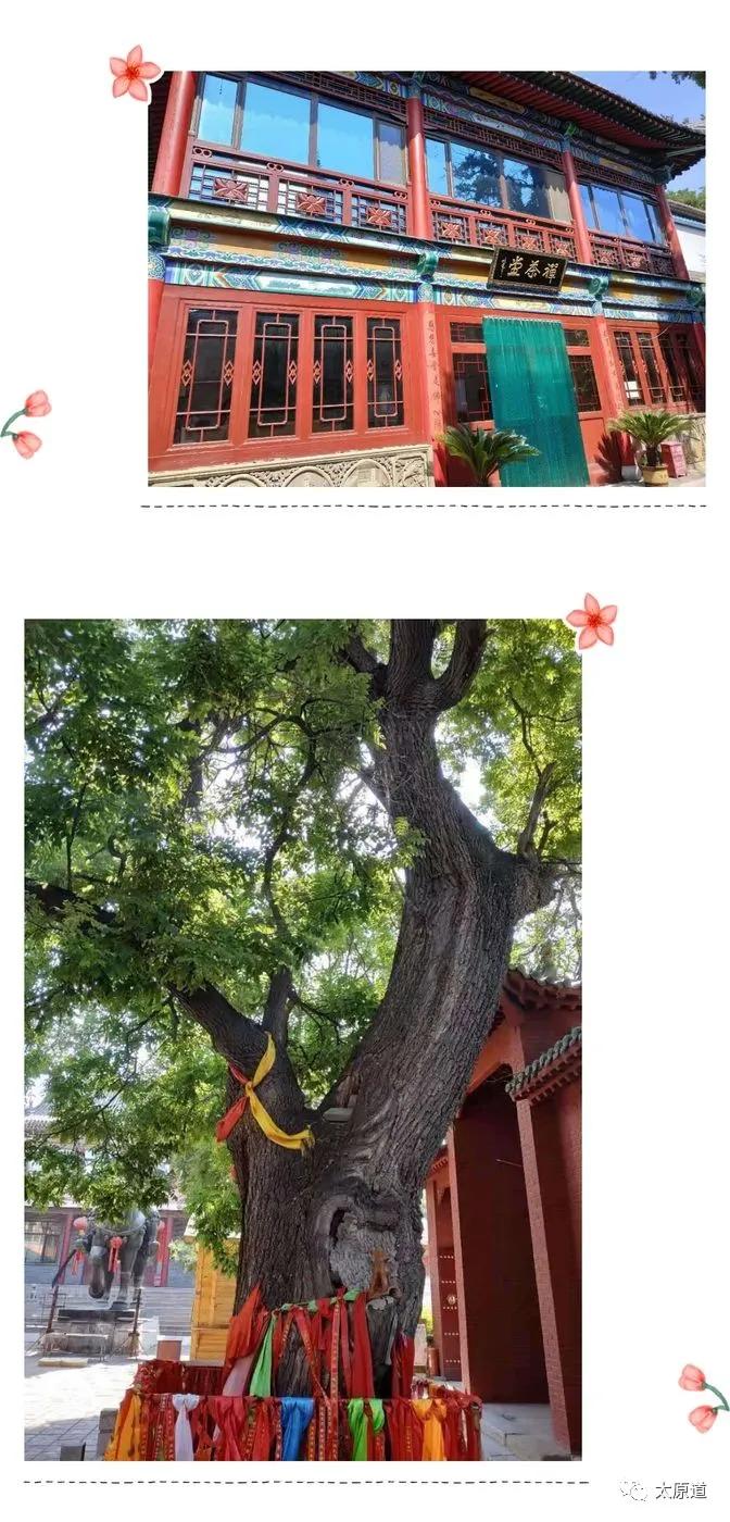 太原南十方白云寺开门了吗,太原南十方白云寺地址