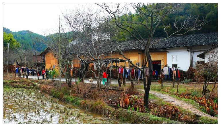 在农村做什么工作月收入上万,农村没有工作打工的怎么赚钱