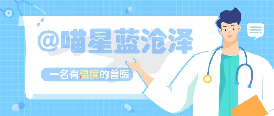 德牧贪玩主人,狗狗调皮被主人训