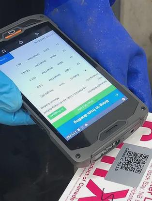 加拿大龙虾怎么处理,冷冻食品龙虾