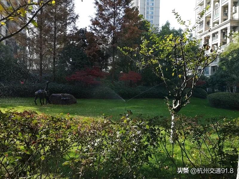 杭州市公安局通报表扬名单,杭州7户家庭被通报处理