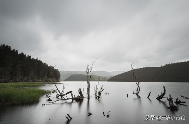 过端午节最忌讳什么,端午节为什么不能去有水的地方