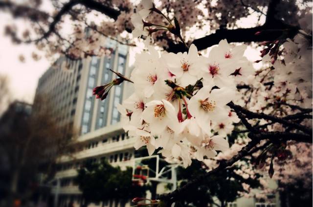 又到一年高考时你释怀了吗,又是一年高考时满是青涩的回忆