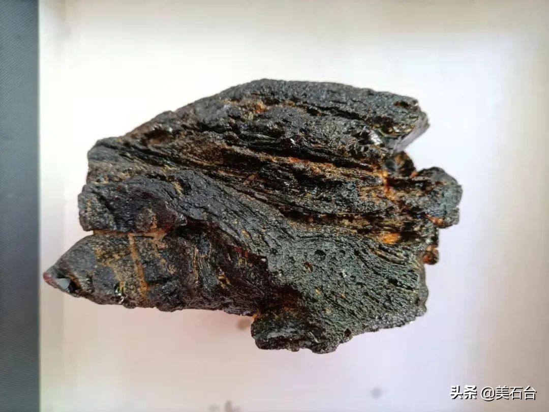 几十元石头付费鉴定变上亿元陨石,小伙子捡到了一块真正的玻璃陨石