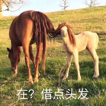 粤语在全国有多受欢迎,说粤语的有哪些国家