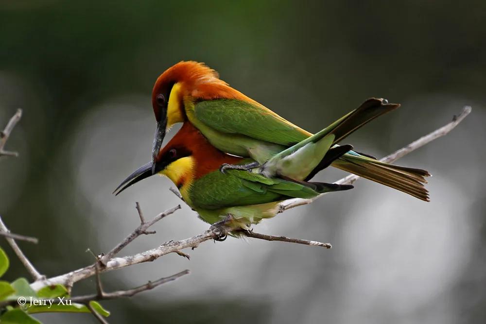 情人节，就该和爱的人*爱做**做的事