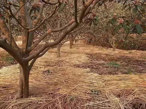 瀵掓皵渚佃韬綋,瀵掓皵鍏ヤ镜浼氬鍔犺韩浣撴箍姘斿悧