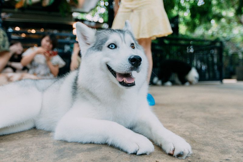 多次曼谷，整理了这份美食攻略，曼谷怎么吃？快戳进来