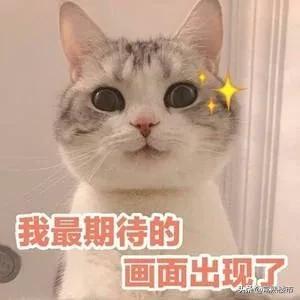越夜越美丽春城店,越夜越美丽流光溢彩的世界