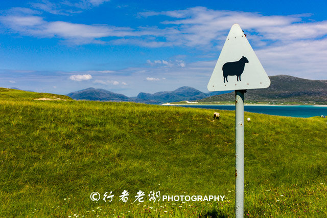 哈里斯粗花呢面料属于什么档次,哈里斯粗花呢面料
