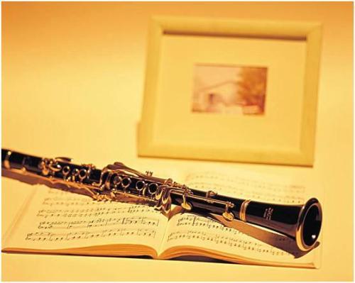 女孩子适合学习什么乐器,6岁女孩子学的乐器排行榜