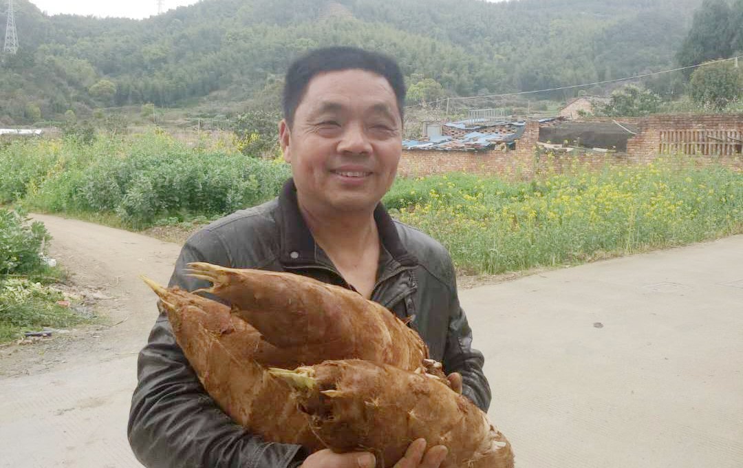 浙江临海沿江镇竹笋,临海市野生竹笋