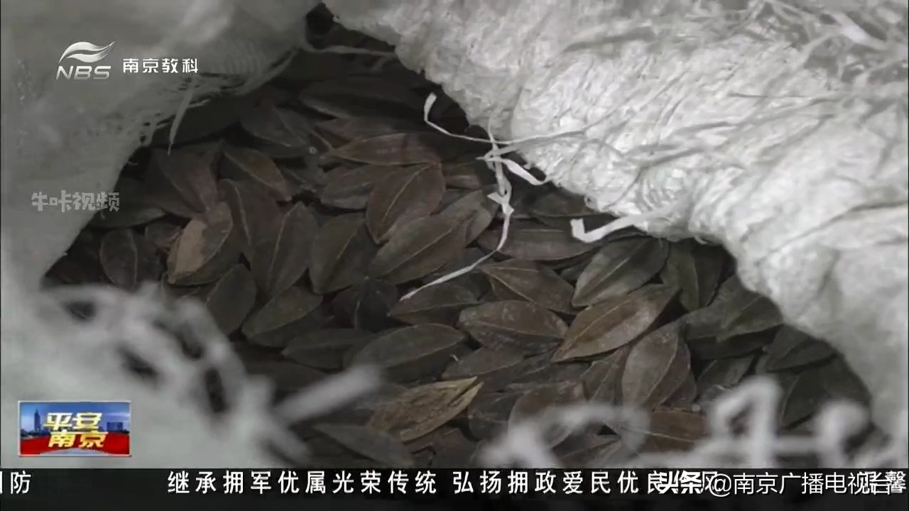 街头“神药”包治三高？民警凌晨抓捕*子骗**