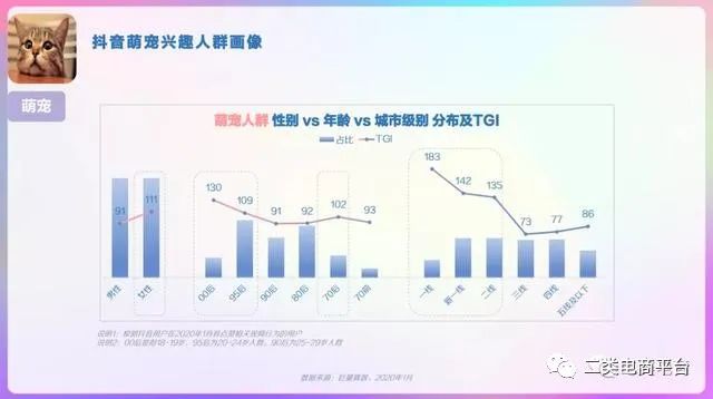 2020年抖音用户画像分析报告,2023年抖音用户画像分析报告