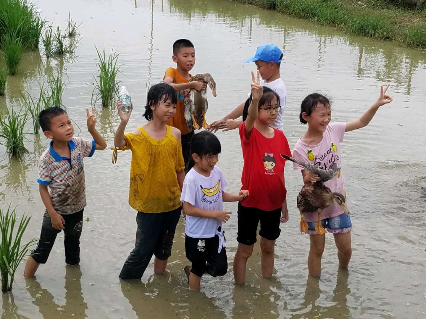 一个珠三角生态体验农庄的自救：捧着生态果蔬卖了个特价