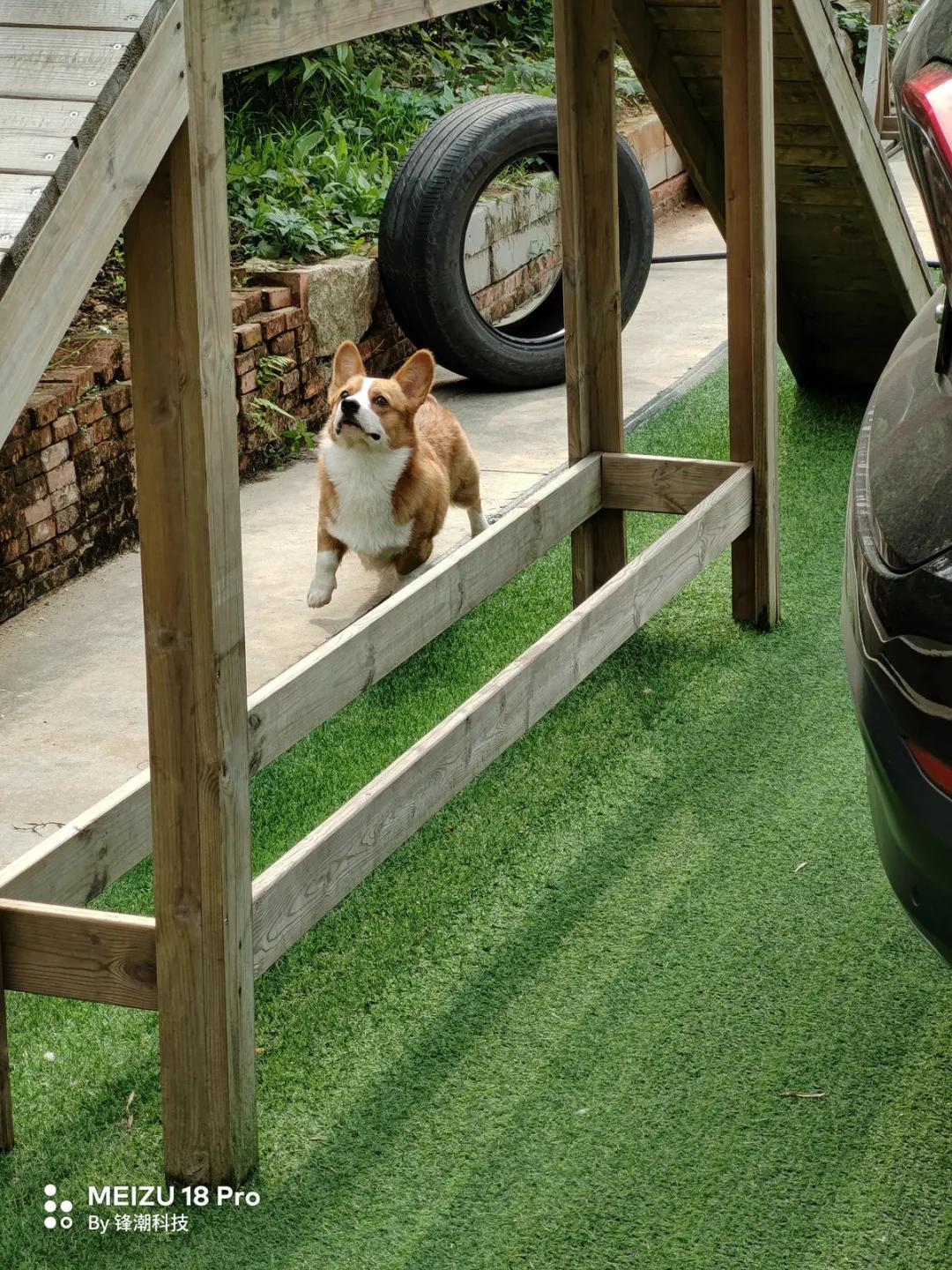 花3599购买魅族20值得吗,花4999买手机