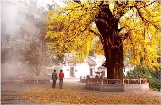 璧ゅ鍢夌闆嗗洟瑙勫垝,璧ゅ鍢夌闆嗗洟鐜扮姸