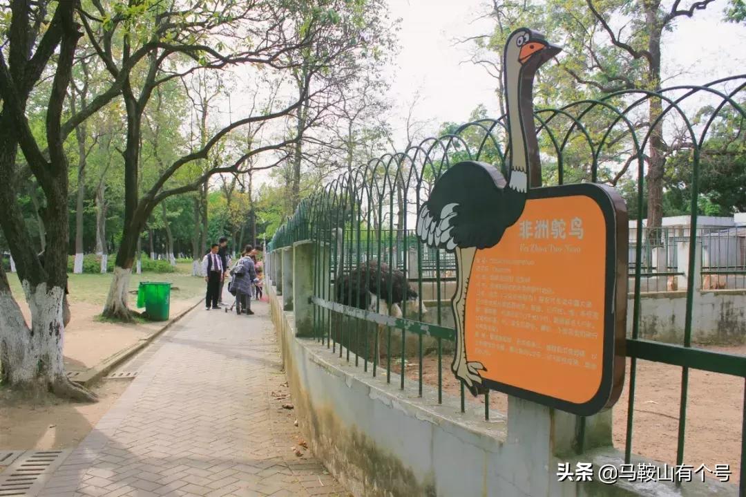 马鞍山特别大的动物园,马鞍山野生动物世界