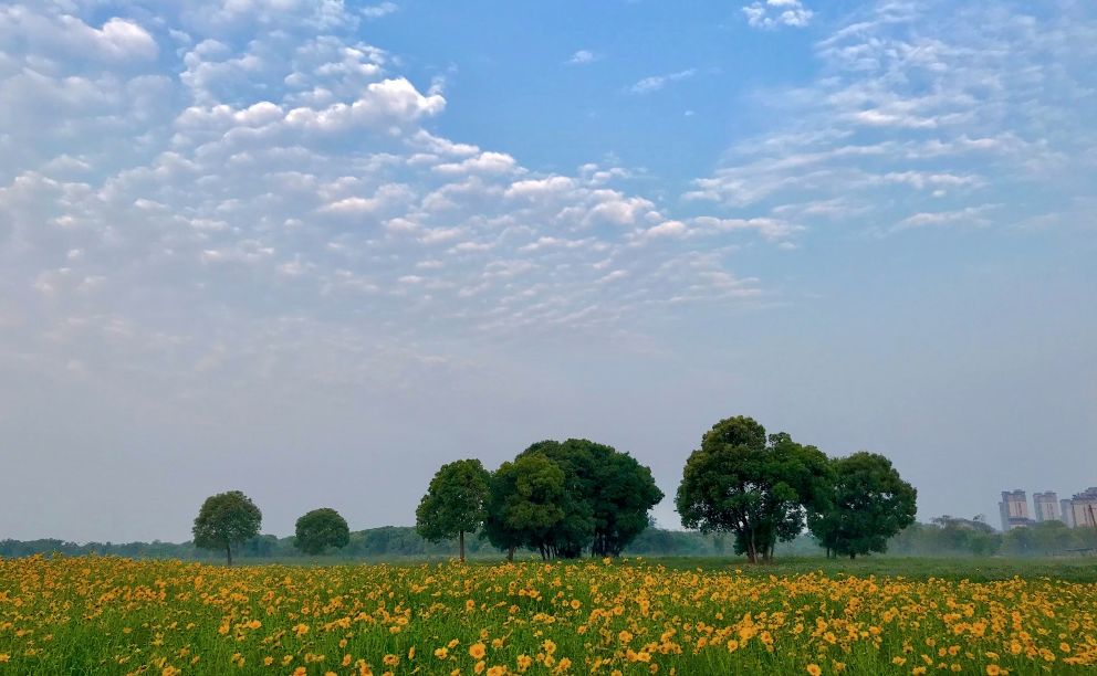 无锡生态环境,无锡生态环境评估