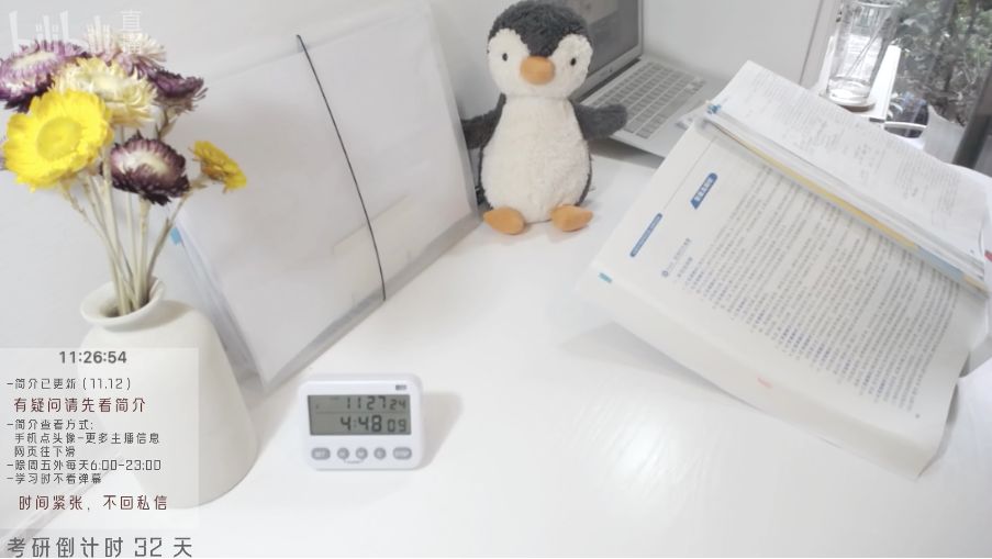 在B站上直播考研的人，最后能成功吗？