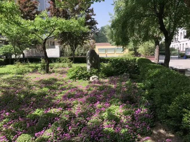 西安市第六十七中学庆安分校,用文化引领学校发展