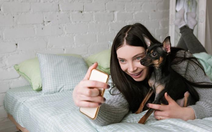 狗狗不爱听话怎么办,怎么解决狗狗过于粘人的问题