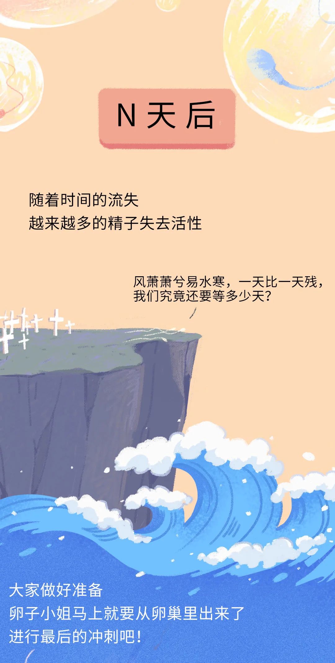 精子进入人体24小时变化,精子在人体24个小时都经历了什么